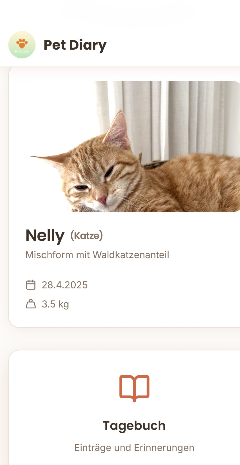 Screenshot – Eingabe der Körperdaten